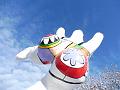 T-20160119-142956_P1260082