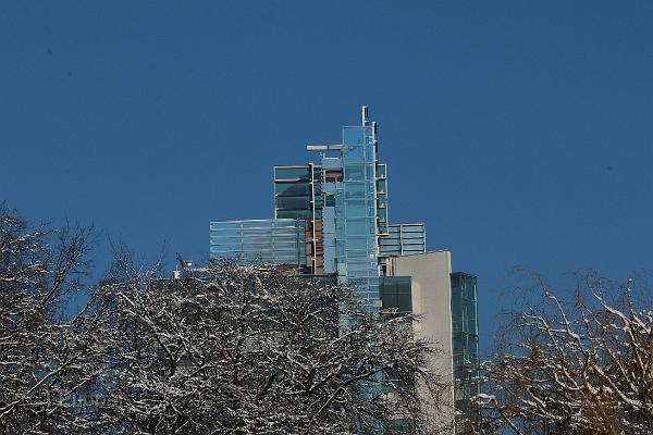 T-20160118-134752_IMG_5948-7.JPG