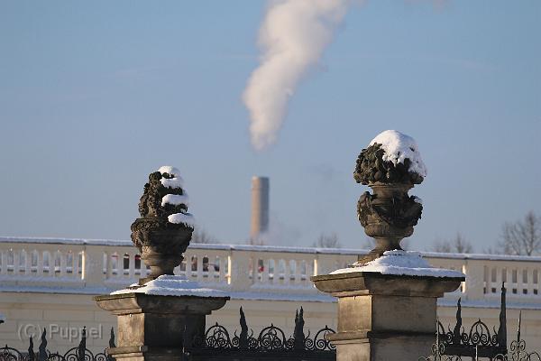 T-20160118-142950_IMG_6097-7.JPG