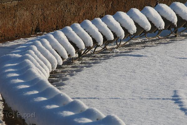 T-20160118-143618_IMG_6125-7.JPG