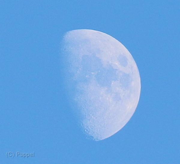 T-20160118-152906_IMG_6378-7aaaa.jpg