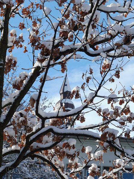 T-20160119-143252_P1260145.JPG