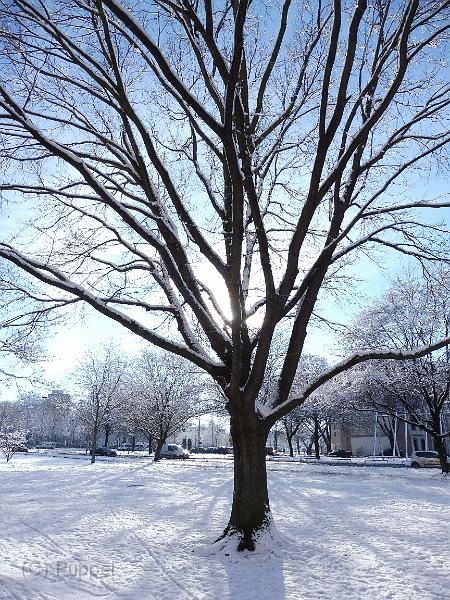 T-20160119-143644_P1260228.JPG