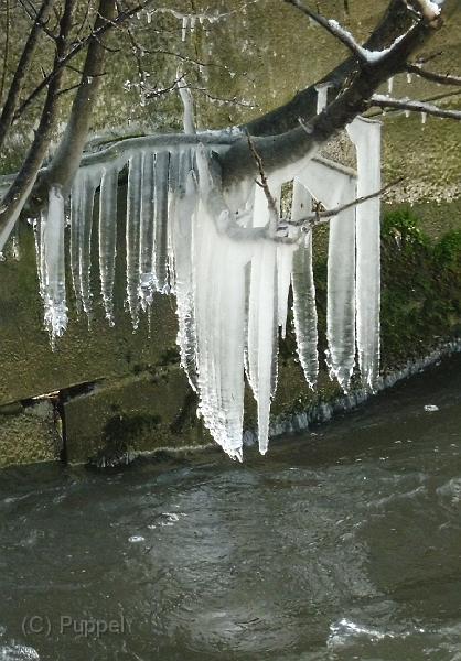 T-20160119-144206_P1260294a.jpg