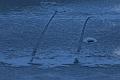 T-20160118-134812_IMG_5952-7