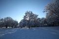 T-20160118-134938_IMG_0842-6