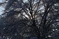 T-20160118-134946_IMG_5962-7