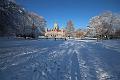 T-20160118-135050_IMG_0856-6