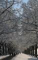 T-20160118-135856_IMG_6065-7a