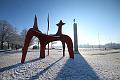 T-20160118-135857_IMG_0886-6