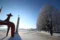 T-20160118-135858_IMG_0889-6