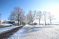 T-20160118-135924_IMG_0892-6