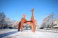 T-20160118-135946_IMG_0895-6