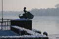 T-20160118-140008_IMG_6069-7