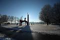 T-20160118-140200_IMG_0907-6