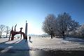 T-20160118-140210_IMG_0914-6