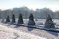 T-20160118-142940_IMG_6094-7
