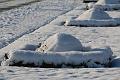 T-20160118-143004_IMG_6103-7