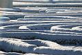 T-20160118-143008_IMG_6104-7