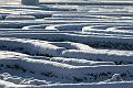 T-20160118-143010_IMG_6107-7