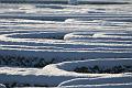 T-20160118-143016_IMG_6112-7