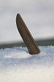 T-20160118-143146_IMG_6115-7