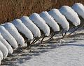 T-20160118-143618_IMG_6127-7a