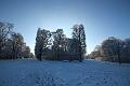 T-20160118-144712_IMG_1011-6