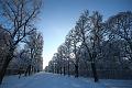 T-20160118-144952_IMG_1044-6