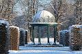 T-20160118-145246_IMG_6203-7