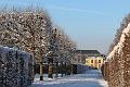 T-20160118-145810_IMG_6233-7