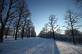 T-20160118-145852_IMG_1089-6