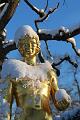 T-20160118-150432_IMG_6272-7