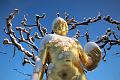 T-20160118-150510_IMG_1104-6