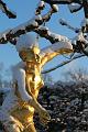 T-20160118-150514_IMG_6274-7