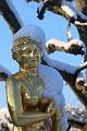 T-20160118-150730_IMG_6297-7
