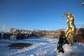 T-20160118-150856_IMG_1122-6