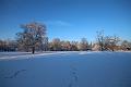 T-20160118-152626_IMG_1197-6