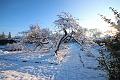 T-20160118-152754_IMG_1209-6