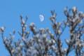 T-20160118-152906_IMG_6379-7