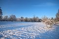 T-20160118-152944_IMG_1212-6