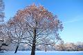 T-20160118-153022_IMG_1221-6