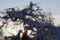 T-20160118-153738_IMG_6386-7