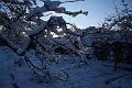 T-20160118-153838_IMG_1240-6
