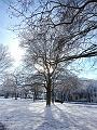 T-20160119-143542_P1260198