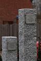 T-20160304-161043_IMG_1455-7
