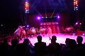 T-20160504-190834_IMG_1118-6