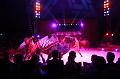 T-20160504-190835_IMG_1123-6