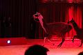 T-20160504-191008_IMG_4170-7