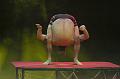 T-20160504-191434_IMG_4514-7a